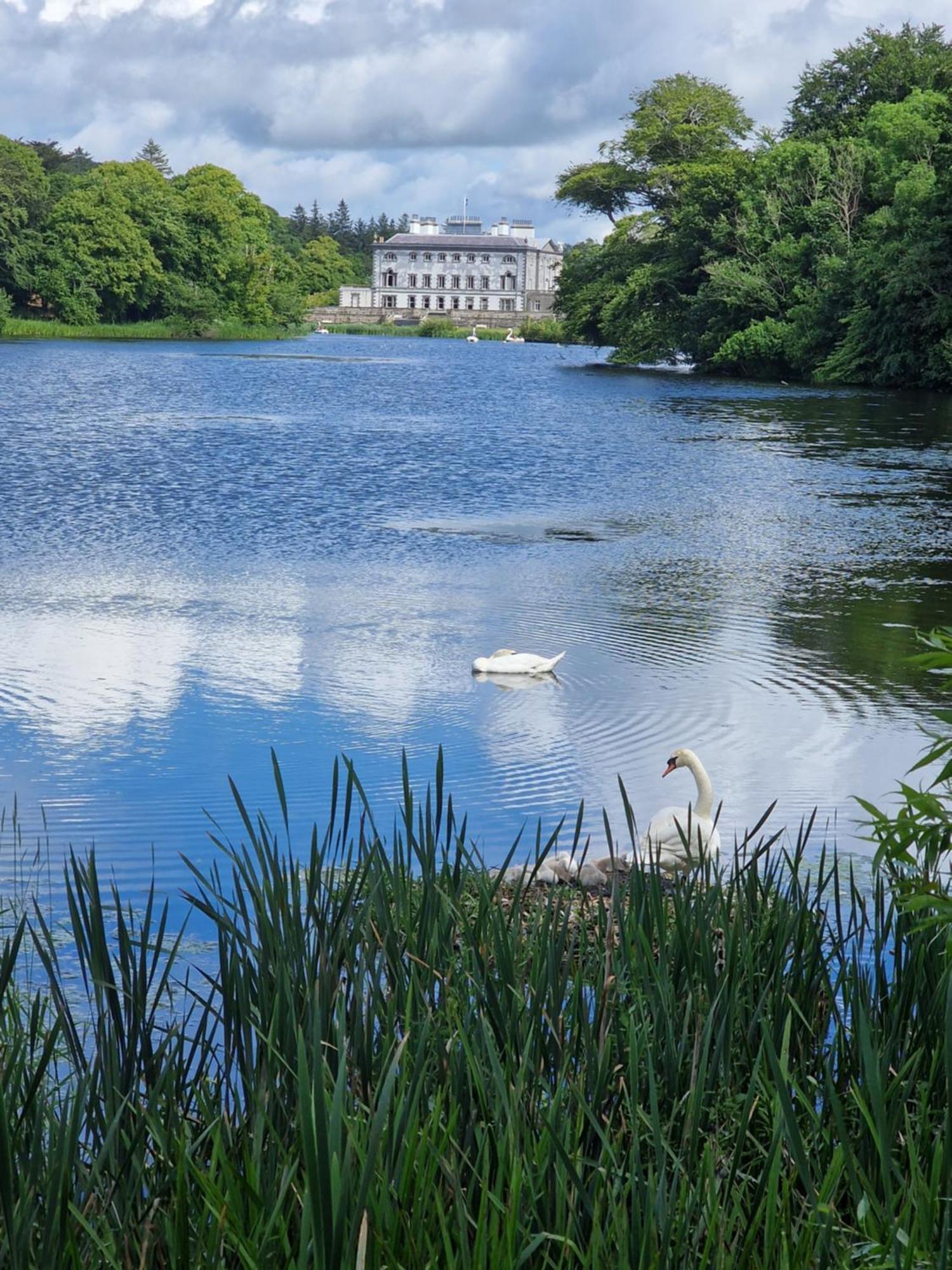 Greenside B&B Westport Dış mekan fotoğraf