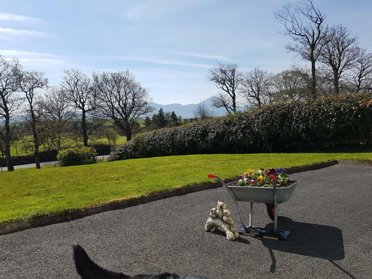 Greenside B&B Westport Dış mekan fotoğraf